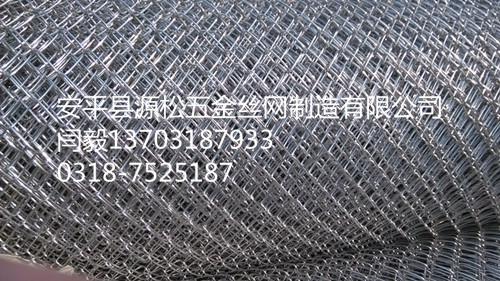 电厂保温专用镀锌勾花网