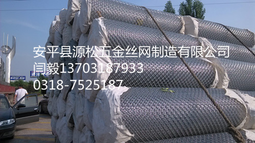 电厂保温专用镀锌勾花网