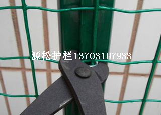 绿色铁丝网