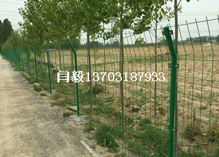 铁网围栏3