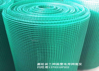 绿色塑料皮铁丝网3